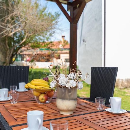 The Village Novigrad Istria المظهر الخارجي الصورة