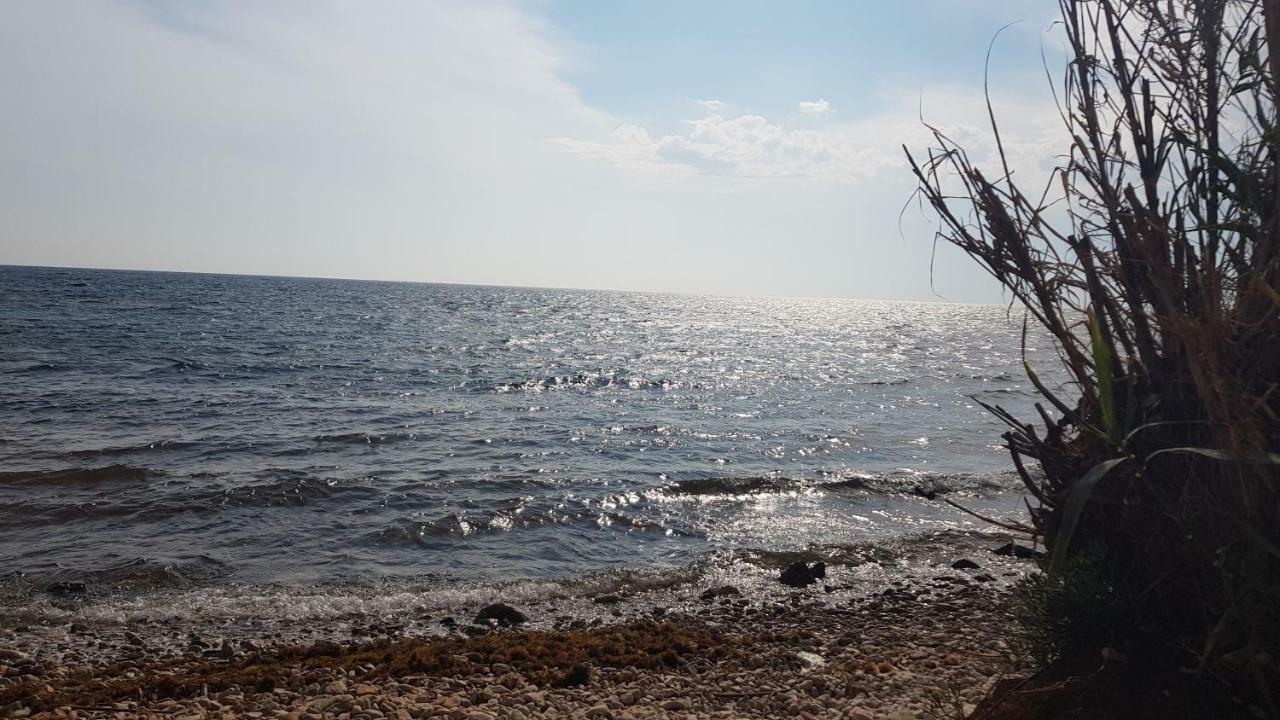 The Village Novigrad Istria المظهر الخارجي الصورة